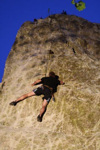 IMG 1764-1