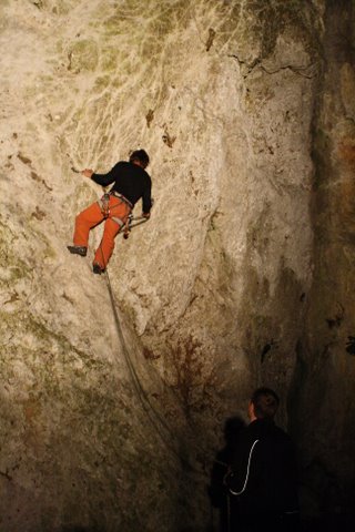 IMG 1795-1
