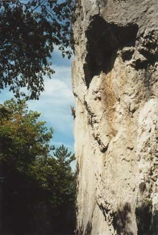 Ne1
